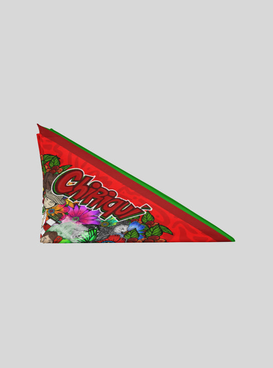 Mini Pañoleta Chiriqui